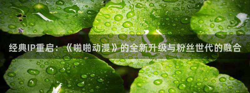 动漫屋官网入口